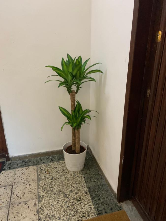 Pisa Train Station Guest House Екстер'єр фото